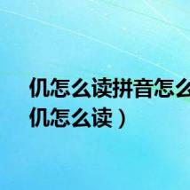 仉怎么读拼音怎么写(仉怎么读)