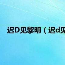 迟D见黎明（迟d见）