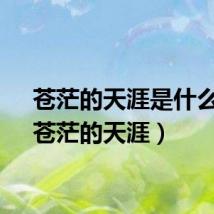 苍茫的天涯是什么歌(苍茫的天涯)
