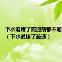 下水道堵了疏通剂都不通怎么办（下水道堵了疏通）