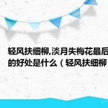 轻风扶细柳,淡月失梅花最后这样改的好处是什么(轻风扶细柳)