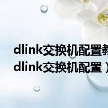 dlink交换机配置教程(dlink交换机配置)