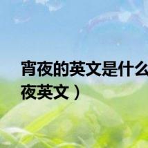 宵夜的英文是什么（宵夜英文）