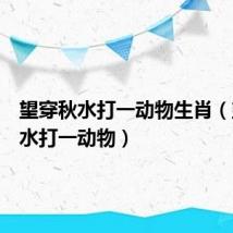 望穿秋水打一动物生肖(望穿秋水打一动物)