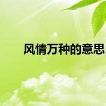 风情万种的意思