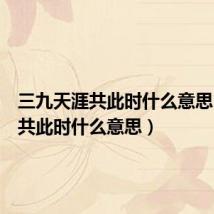 三九天涯共此时什么意思(天涯共此时什么意思)