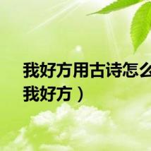 我好方用古诗怎么说（我好方）