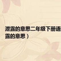 泄露的意思二年级下册语文(泄露的意思)