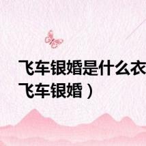 飞车银婚是什么衣服?(飞车银婚)