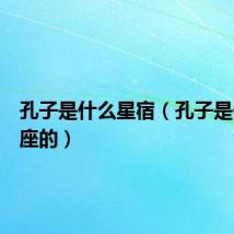孔子是什么星宿(孔子是什么星座的)