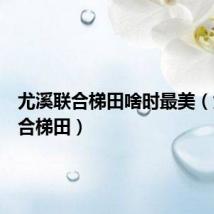 尤溪联合梯田啥时最美(尤溪联合梯田)