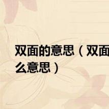 双面的意思（双面人什么意思）