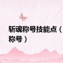 斩魂称号技能点（斩魂称号）