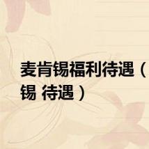 麦肯锡福利待遇（麦肯锡 待遇）