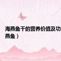 海燕鱼干的营养价值及功效(海燕鱼)