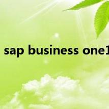 sap business one10.0