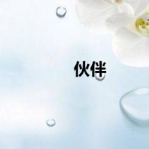 伙伴