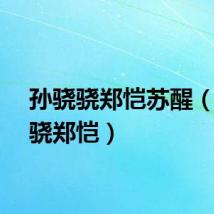 孙骁骁郑恺苏醒（孙骁骁郑恺）