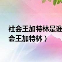 社会王加特林是谁（社会王加特林）