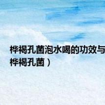 桦褐孔菌泡水喝的功效与作用(桦褐孔菌)