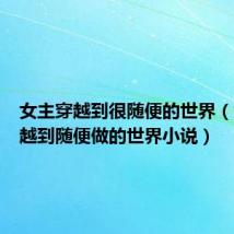 女主穿越到很随便的世界(女主穿越到随便做的世界小说)