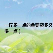 一斤多一点的鱼要蒸多久(一斤多一点)