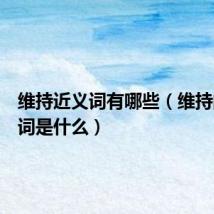 维持近义词有哪些(维持的近义词是什么)