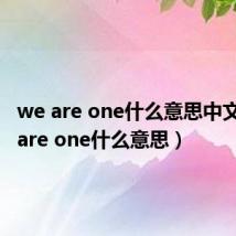 we are one什么意思中文(we are one什么意思)