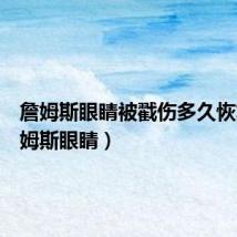 詹姆斯眼睛被戳伤多久恢复(詹姆斯眼睛)