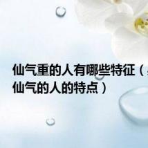 仙气重的人有哪些特征(身上带仙气的人的特点)