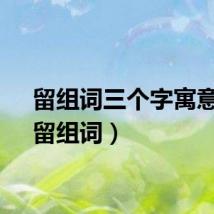 留组词三个字寓意好（留组词）