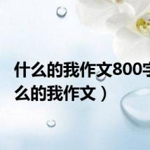什么的我作文800字(什么的我作文)