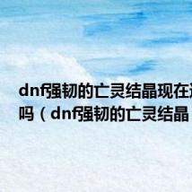 dnf强韧的亡灵结晶现在还有用吗(dnf强韧的亡灵结晶)