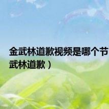 金武林道歉视频是哪个节目(金武林道歉)