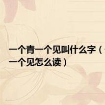 一个青一个见叫什么字(一个青一个见怎么读)