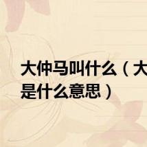 大仲马叫什么（大仲马是什么意思）