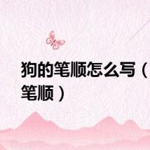 狗的笔顺怎么写（狗的笔顺）