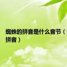 蜘蛛的拼音是什么音节(蜘蛛的拼音)
