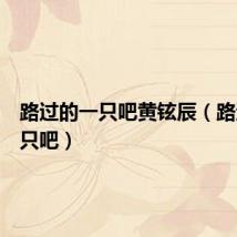 路过的一只吧黄铉辰(路过的一只吧)