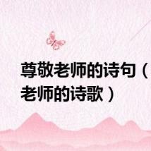 尊敬老师的诗句（尊敬老师的诗歌）