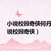 小说校园奇侠何丹（小说校园奇侠）