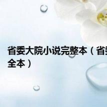 省委大院小说完整本（省委大院 全本）