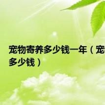 宠物寄养多少钱一年(宠物寄养多少钱)