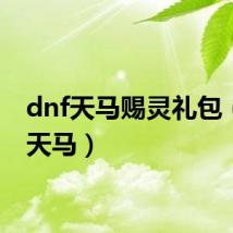 dnf天马赐灵礼包(dnf天马)