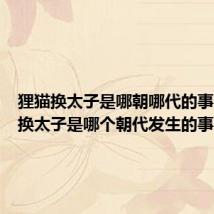 狸猫换太子是哪朝哪代的事（狸猫换太子是哪个朝代发生的事）