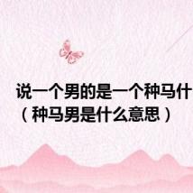 说一个男的是一个种马什么意思(种马男是什么意思)