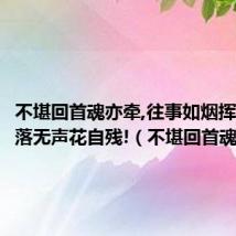 不堪回首魂亦牵,往事如烟挥不去,叶落无声花自残!(不堪回首魂亦牵)