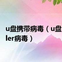 u盘携带病毒(u盘recycler病毒)
