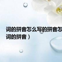 词的拼音怎么写的拼音怎么读(词的拼音)