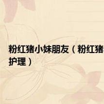 粉红猪小妹朋友(粉红猪小妹的护理)